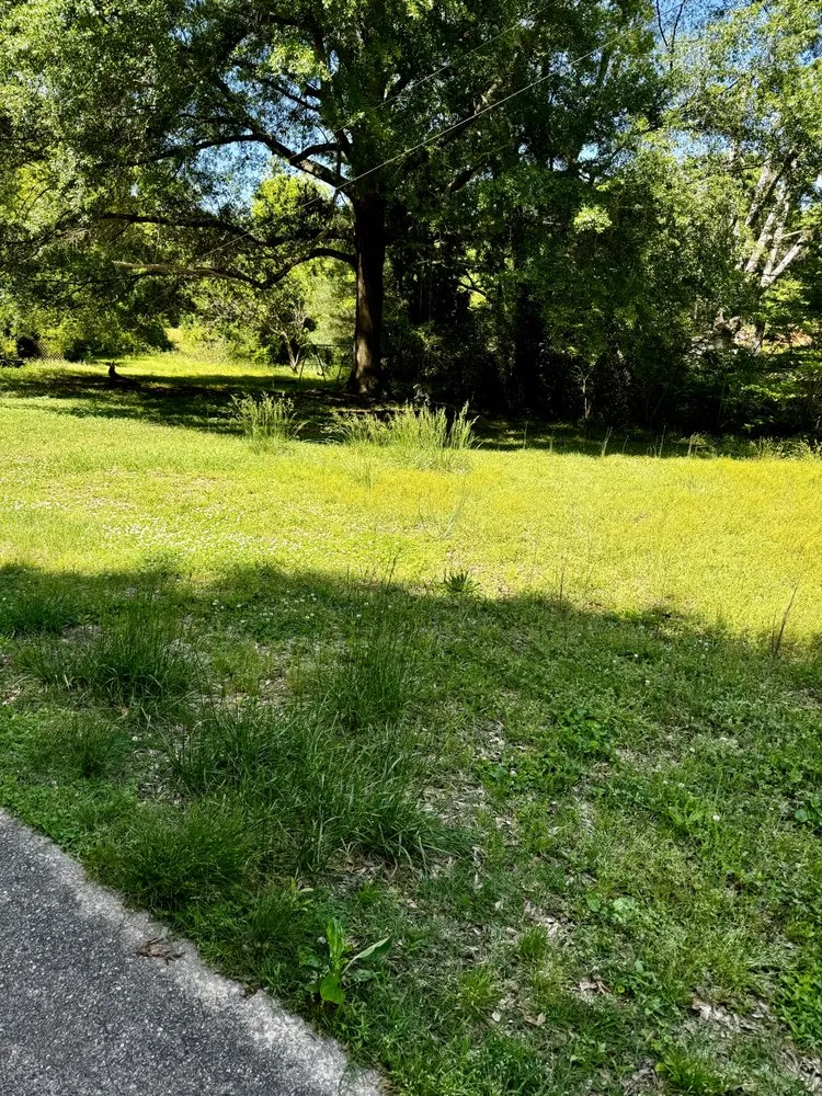 Professional lawn care service in Inman, SC by Revelation Lawn Services