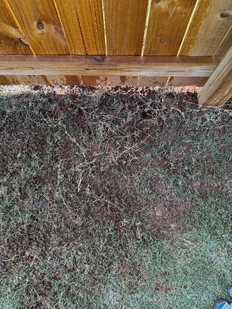 Reliable garden landscaping experts serving Inman, SC - Revelation Lawn Services