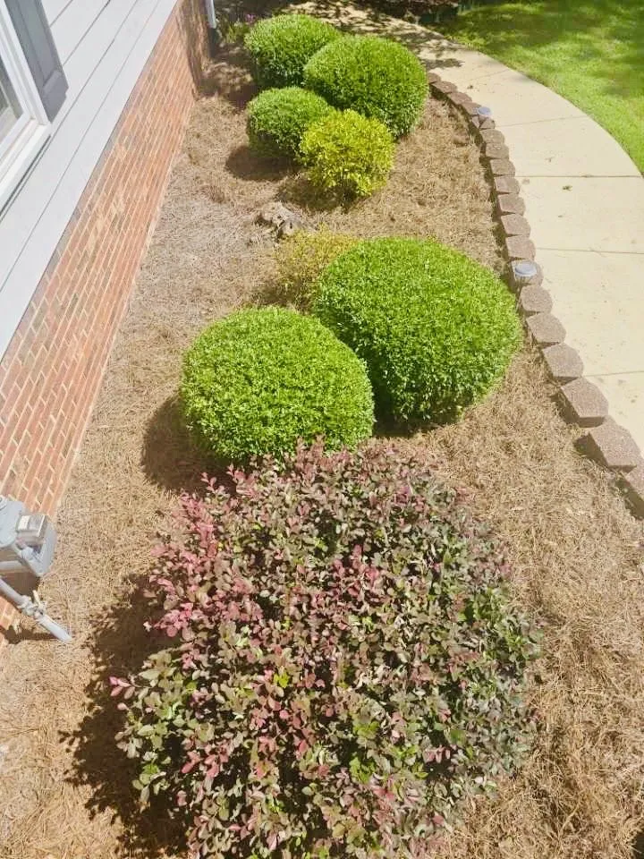 Reliable outdoor landscaping in Inman, SC by Revelation Lawn Services