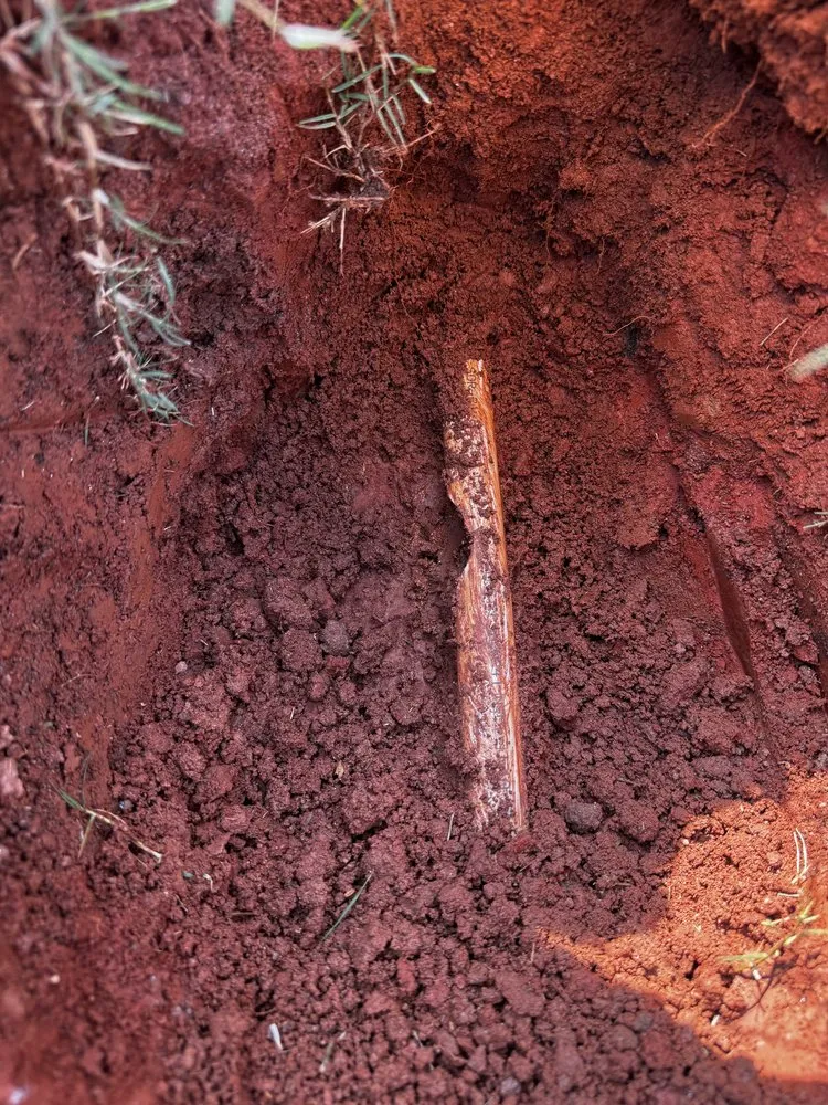 Expert landscaping services experts serving Inman, SC - Revelation Lawn Services