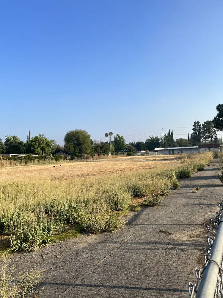 Trusted lawn care service for residential properties across West Hollywood, CA - Reveles Landscaping & Tree Service