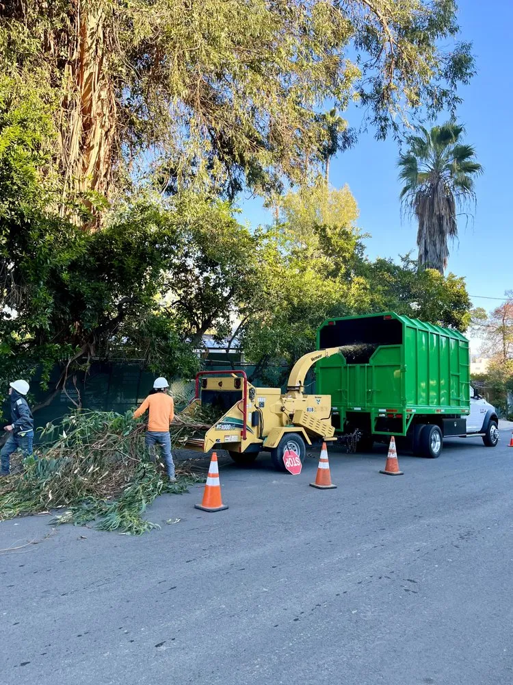 Expert garden landscaping in West Hollywood, CA - Reveles Landscaping & Tree Service