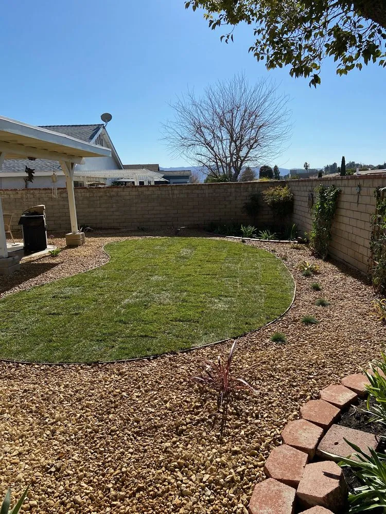 Affordable landscaping services for year-round maintenance across West Hollywood, CA - Reveles Landscaping & Tree Service