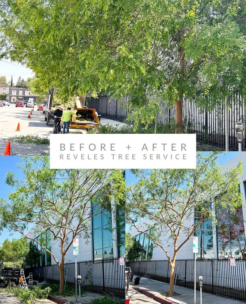 Local outdoor landscaping for homes in West Hollywood, CA by Reveles Landscaping & Tree Service