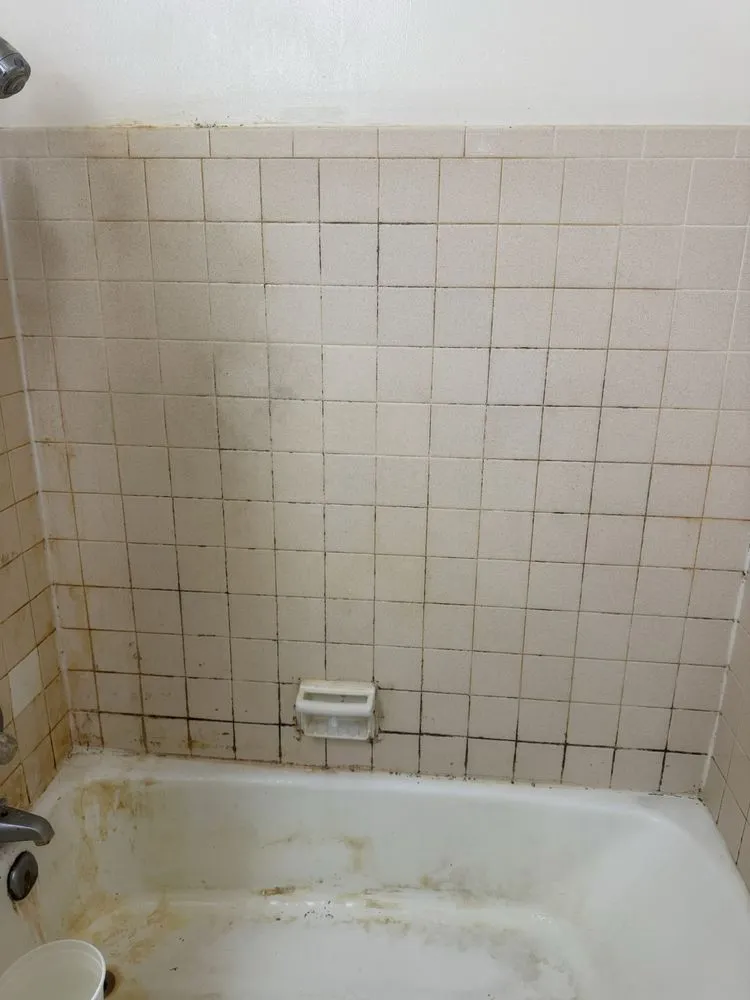 Trusted residential landscaping in Middleton, WI by Revenz Cleaning And Landscaping Services