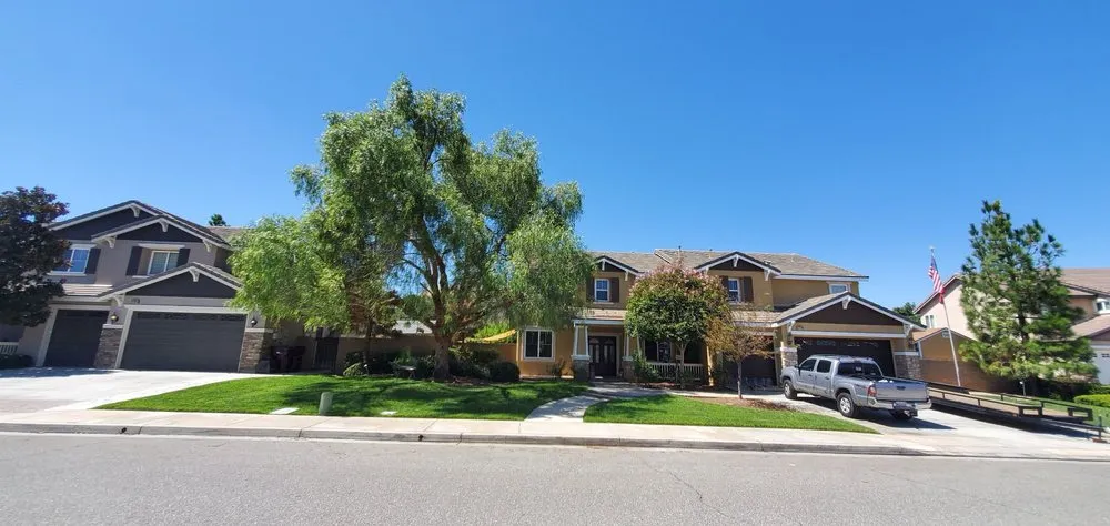 Reliable yard maintenance in Sun City, CA by Reveriano & Daniel's Tree and Landscaping Service