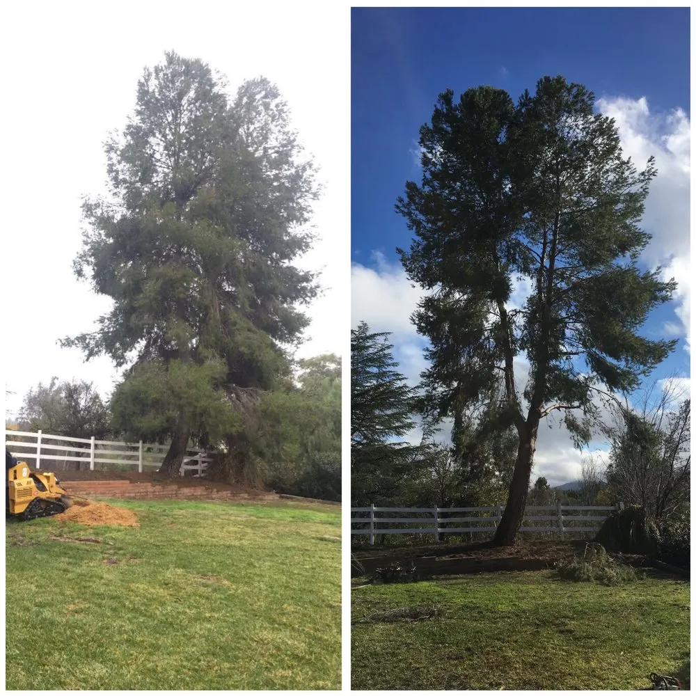 Affordable residential landscaping experts serving Sun City, CA - Reveriano & Daniel's Tree and Landscaping Service