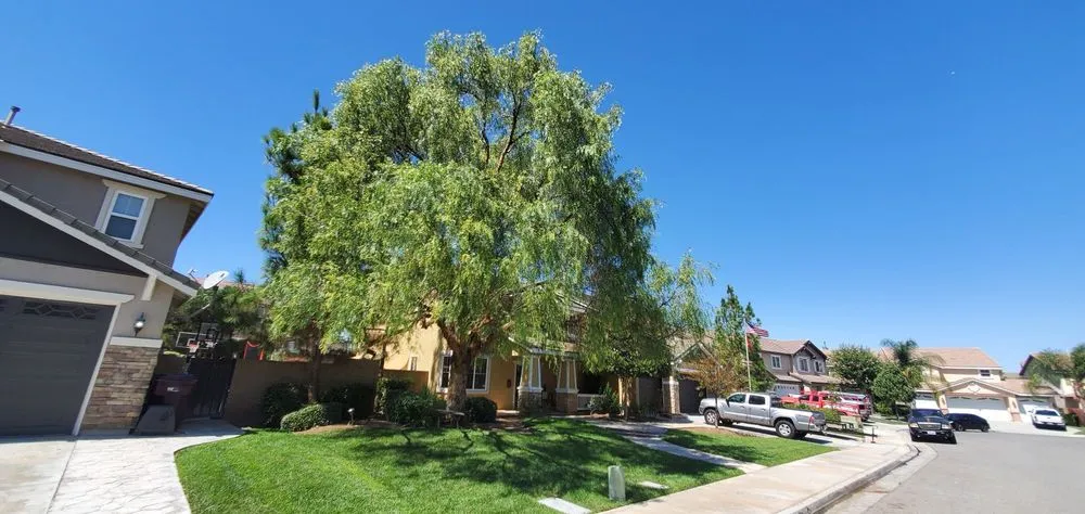 Trusted lawn mowing service near you in Sun City, CA by Reveriano & Daniel's Tree and Landscaping Service