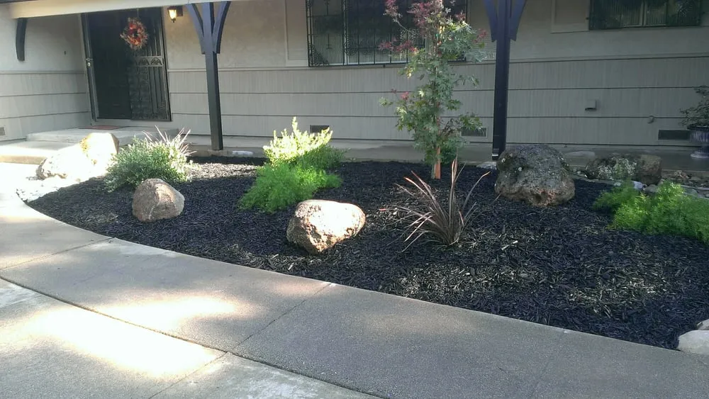 Reliable yard cleanup service in Citrus Heights, CA - Revering Steve Landscaping