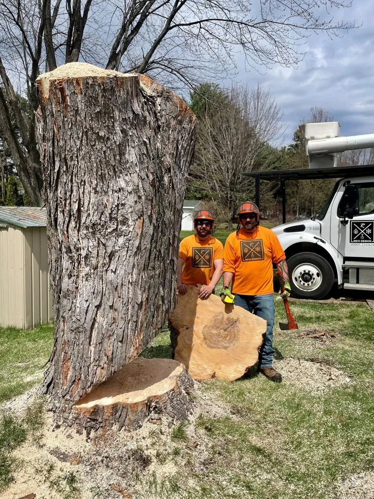 Local landscaping services in Wausau, WI - Revi Design