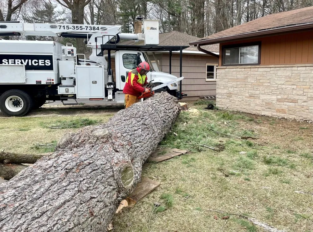 Trusted yard cleanup service experts serving Wausau, WI - Revi Design