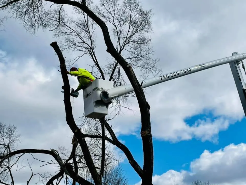 Affordable landscaping services in Wausau, WI - Revi Design