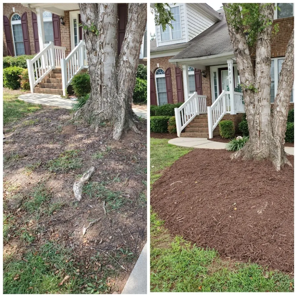 Custom yard maintenance near you across Cornelius, NC - Revitalawn
