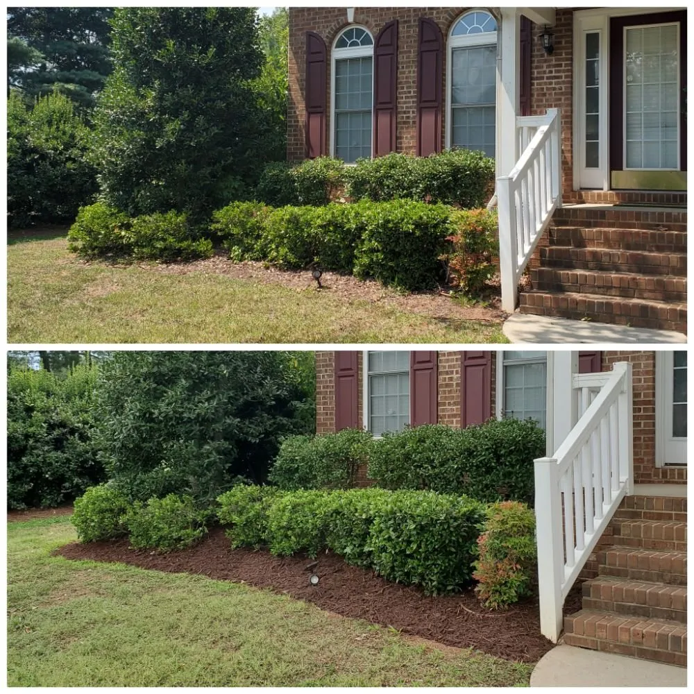 Top-rated garden landscaping experts serving Cornelius, NC - Revitalawn
