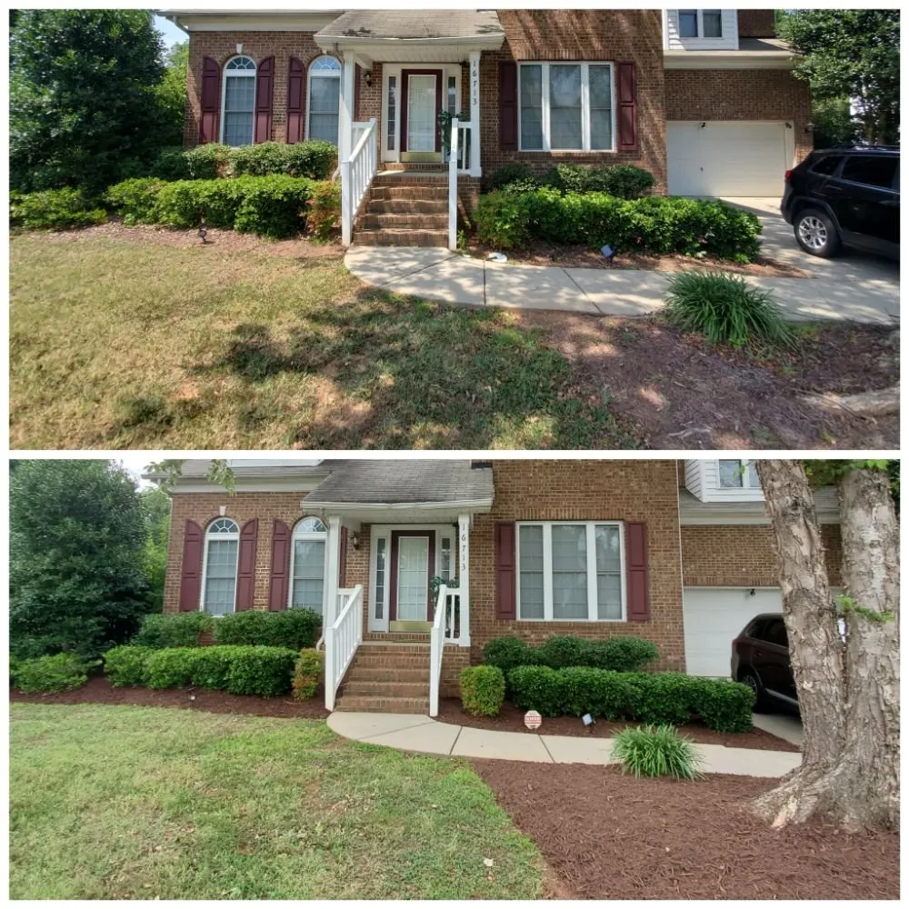 Professional landscape design for residential properties in Cornelius, NC by Revitalawn
