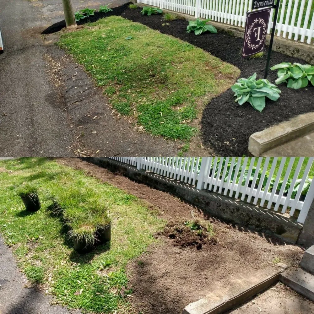 Professional lawn mowing service in Sinking Spring, PA - Revitalize Landscape & Lawn Care