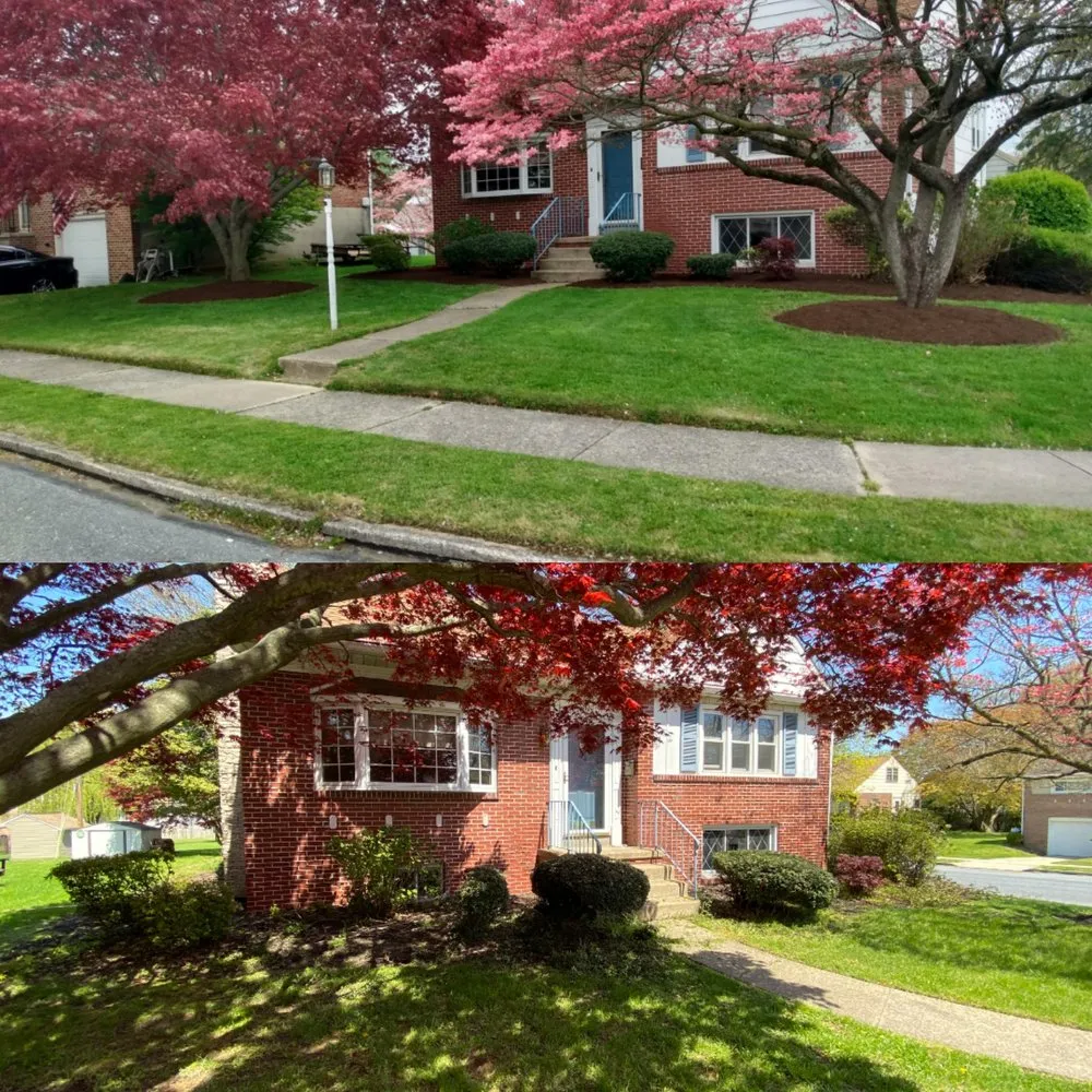 Custom lawn mowing service in Sinking Spring, PA by Revitalize Landscape & Lawn Care