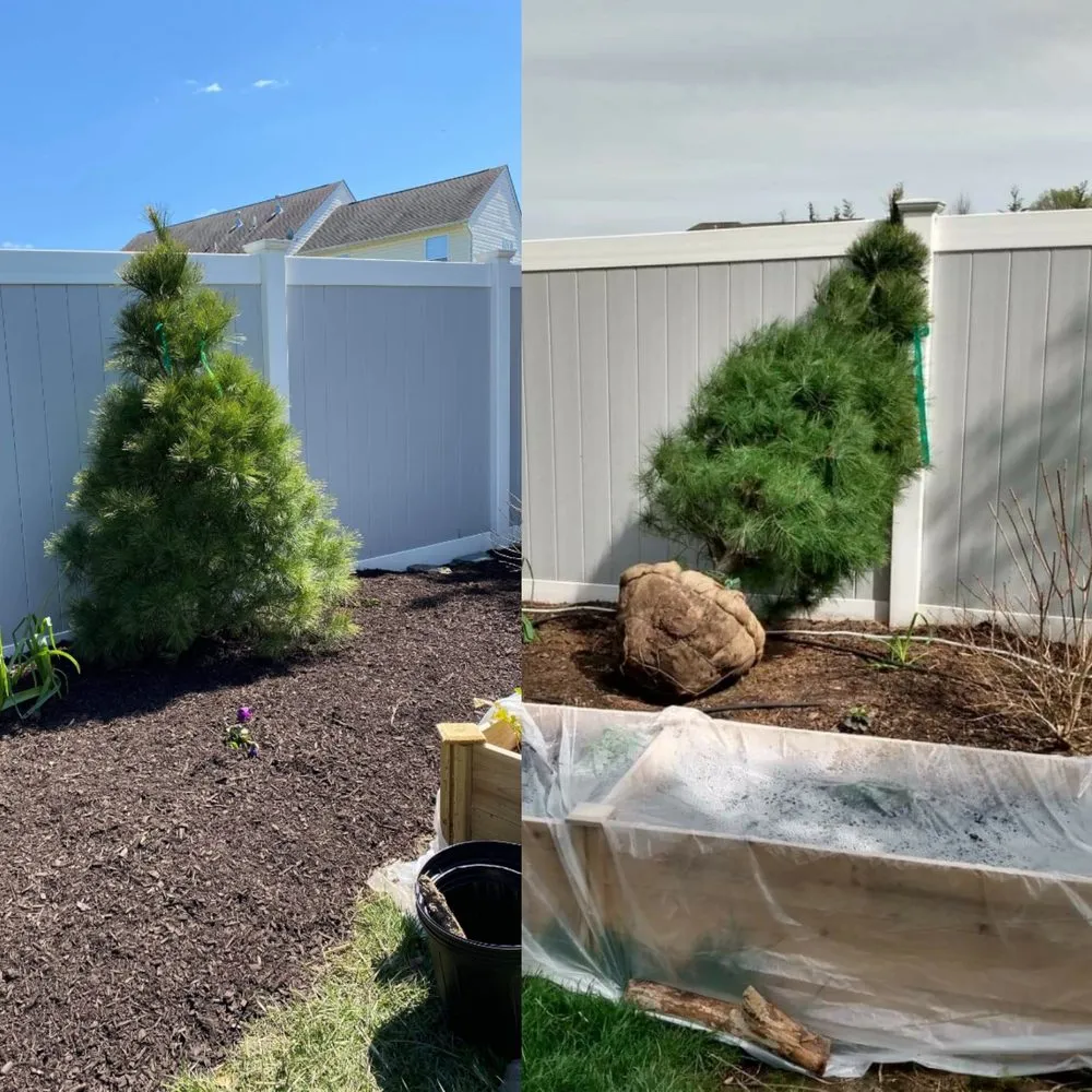 Local landscape design experts serving Sinking Spring, PA - Revitalize Landscape & Lawn Care