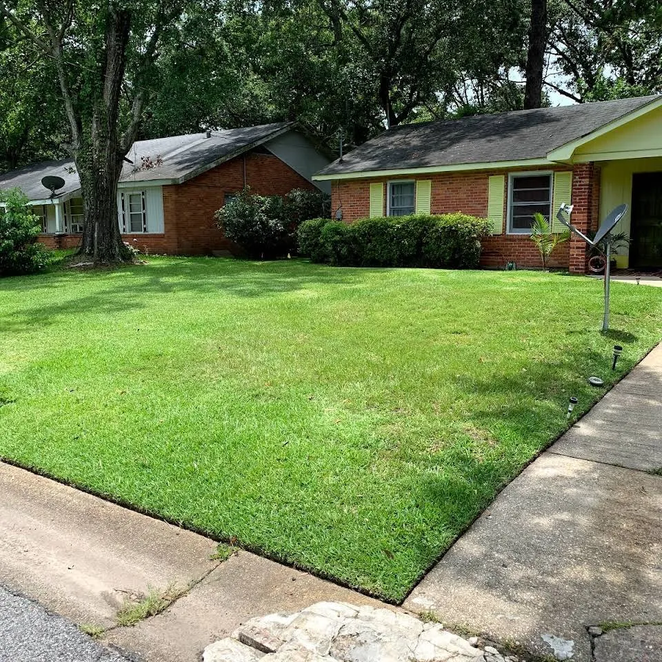 Top-rated lawn care service in Theodore, AL by Revitalize Lawn Care