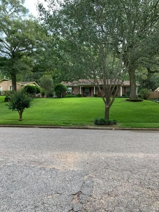 Trusted landscape design in Theodore, AL by Revitalize Lawn Care