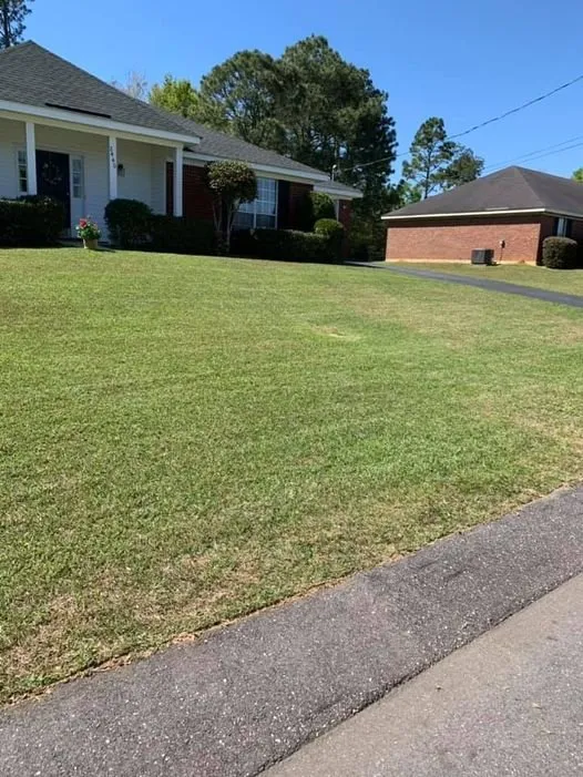 Trusted residential landscaping experts serving Theodore, AL - Revitalize Lawn Care
