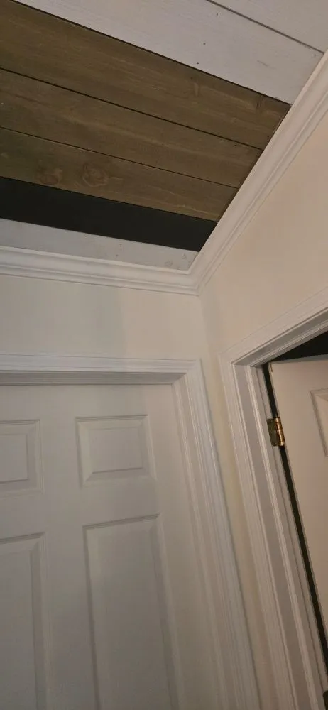 Affordable lawn care service experts serving Bloomington, IL - Revitalized Construction