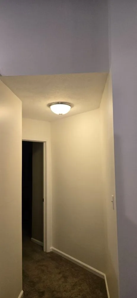 Local lawn care service in Bloomington, IL - Revitalized Construction