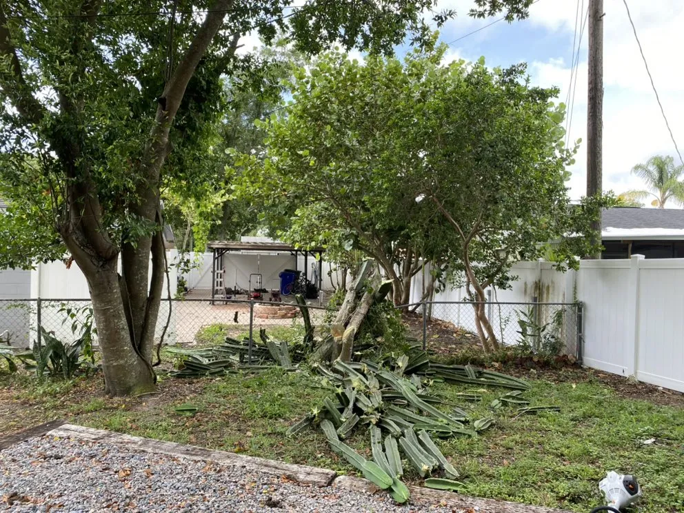 Top-rated outdoor landscaping experts serving Lakeland, FL - Revival Home Solutions