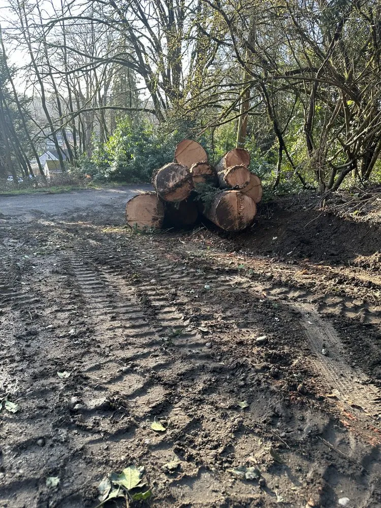 Reliable residential landscaping in Bothell, WA - Revival Land Works