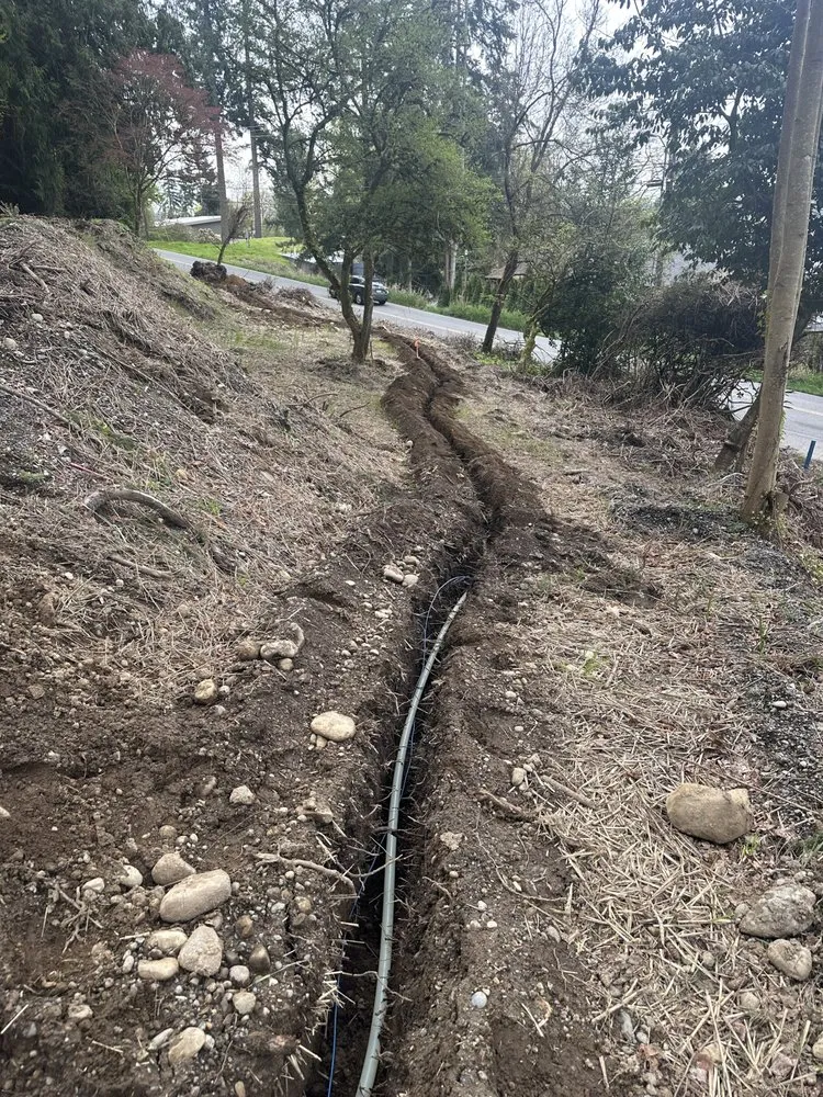 Top-rated garden landscaping for residential properties across Bothell, WA - Revival Land Works