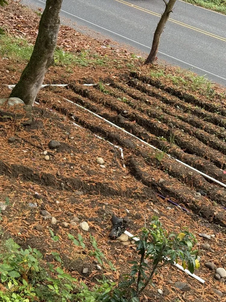 Reliable landscape design near you across Bothell, WA - Revival Land Works