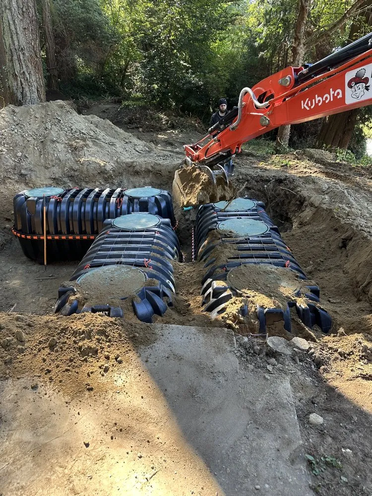 Reliable yard cleanup service for homes across Bothell, WA - Revival Land Works