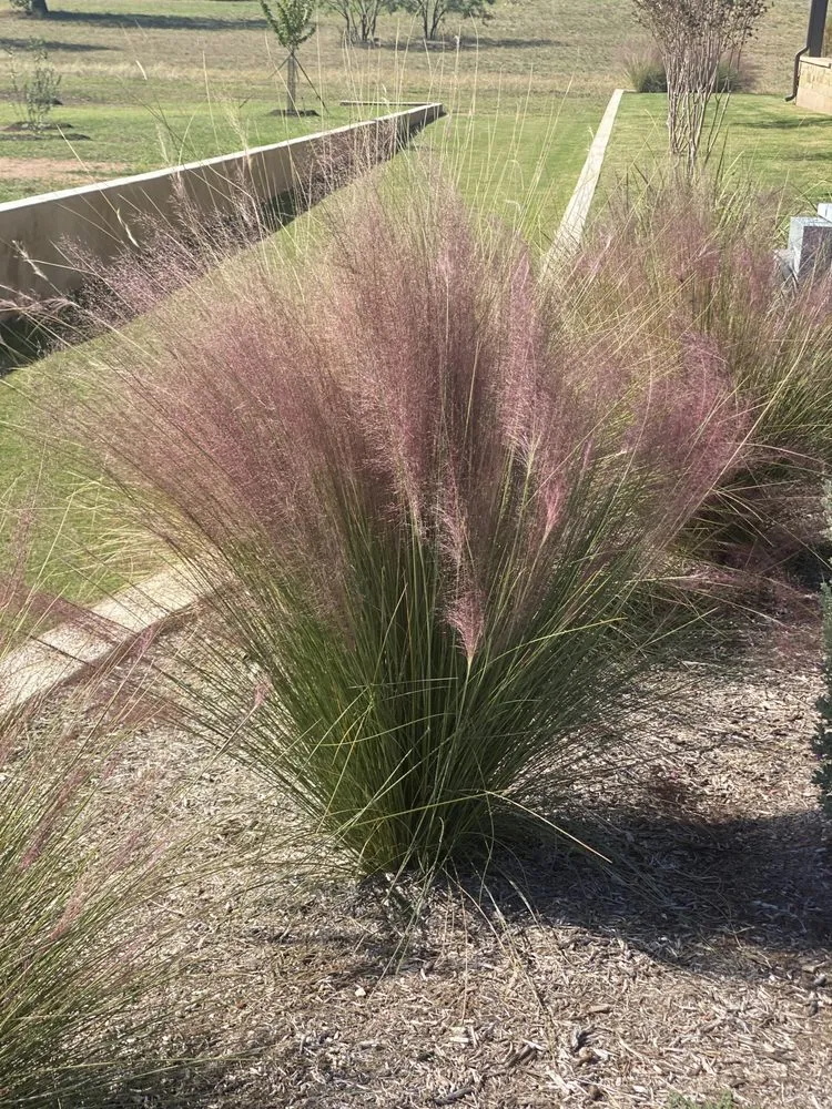 Affordable residential landscaping in Marble Falls, TX - Revival Landscape & Irrigation