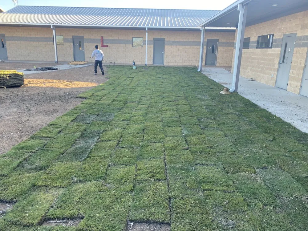 Professional outdoor landscaping for outdoor upgrades in Marble Falls, TX by Revival Landscape & Irrigation