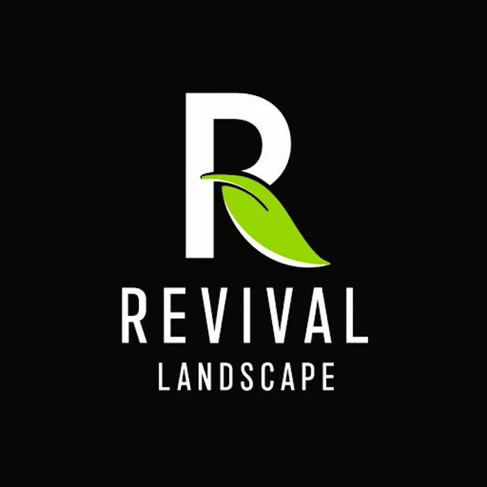 Custom yard cleanup service experts serving Eagan, MN - Revival Landscape