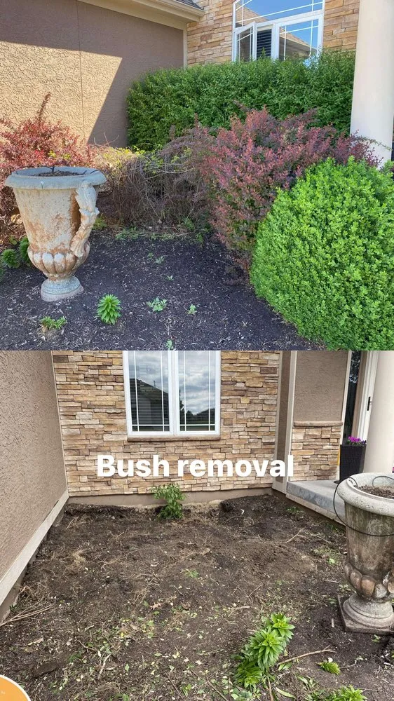 Top-rated yard cleanup service experts serving Belton, MO - Revival Landscaping and Staining