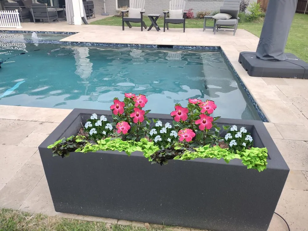 Affordable lawn care service for year-round maintenance in Garland, TX by Revival Landscaping