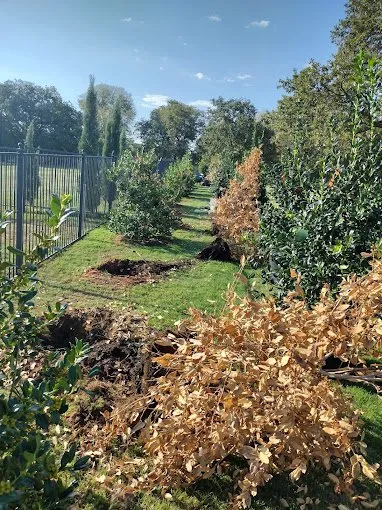 Affordable landscape installation in Garland, TX by Revival Landscaping