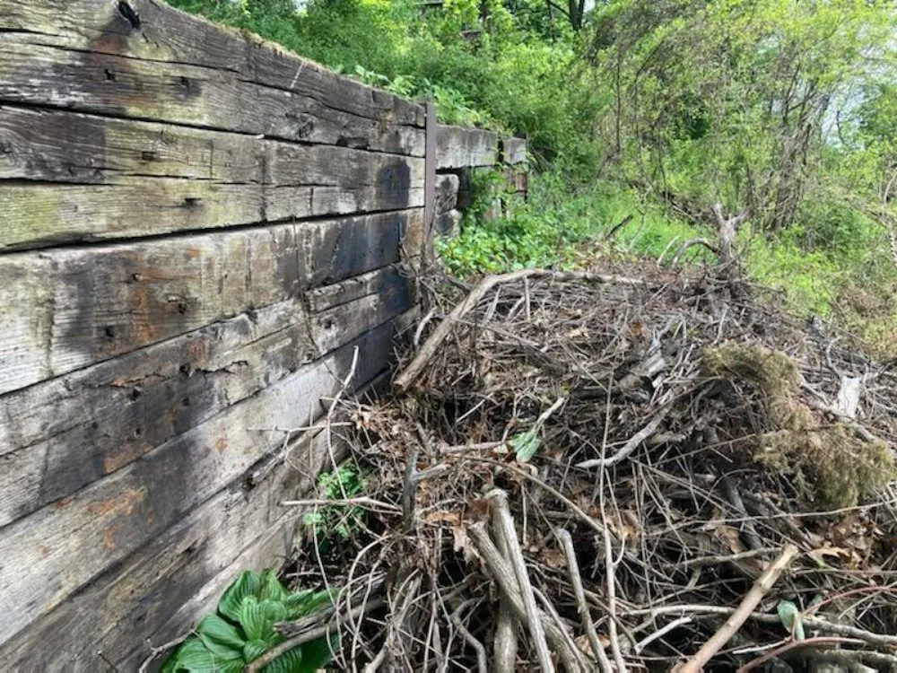 Custom residential landscaping for year-round maintenance across Pittsburgh, PA - Revival Landscaping