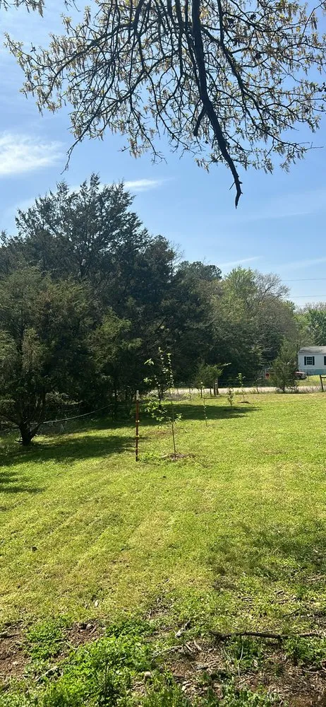 Reliable landscape design in Waldron, AR by Revival Lawn And Tree Care