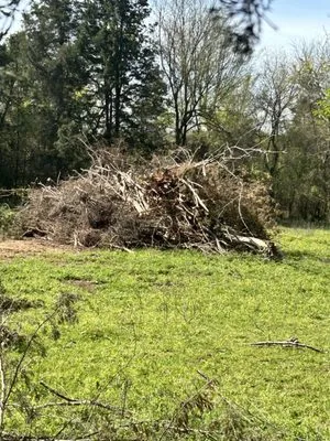 Revival Lawn And Tree Care