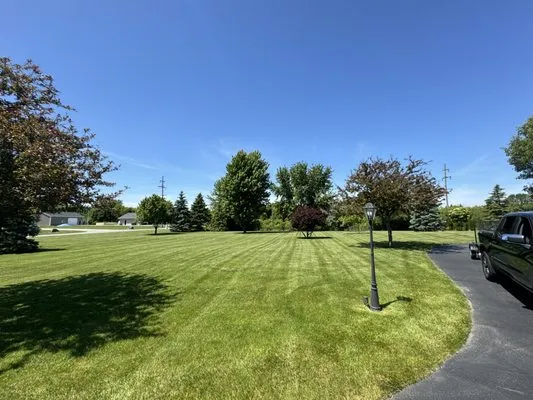 Revival Lawn Care and Landscaping Logo