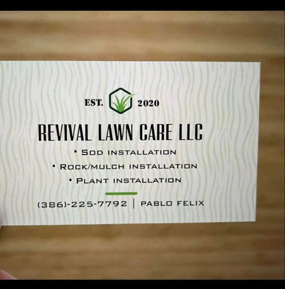 Trusted lawn care service in Palm Coast, FL by Revival Lawncare