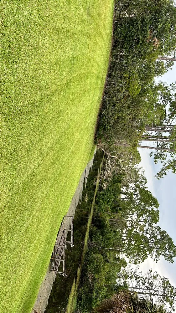 Reliable landscaping services for beautiful yards across Palm Coast, FL - Revival Lawncare