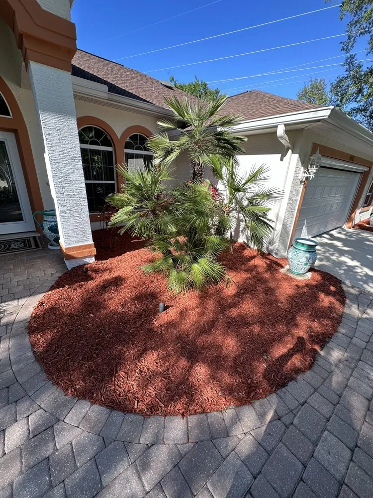Expert yard maintenance in Palm Coast, FL - Revival Lawncare
