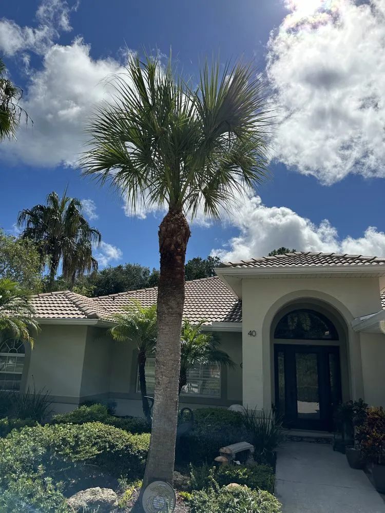 Expert garden landscaping in Palm Coast, FL - Revival Lawncare