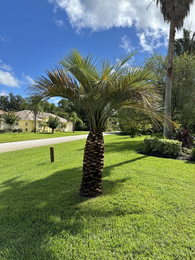 Trusted garden landscaping experts serving Palm Coast, FL - Revival Lawncare