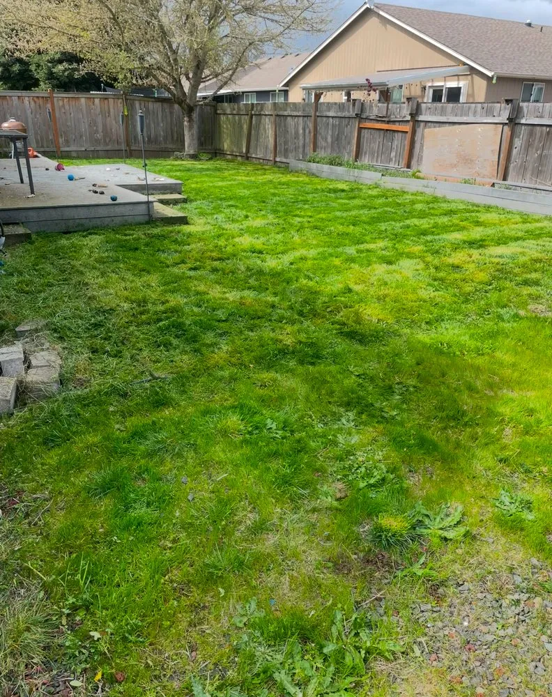 Expert landscape installation in Monmouth, OR - Revive Declutter Transform