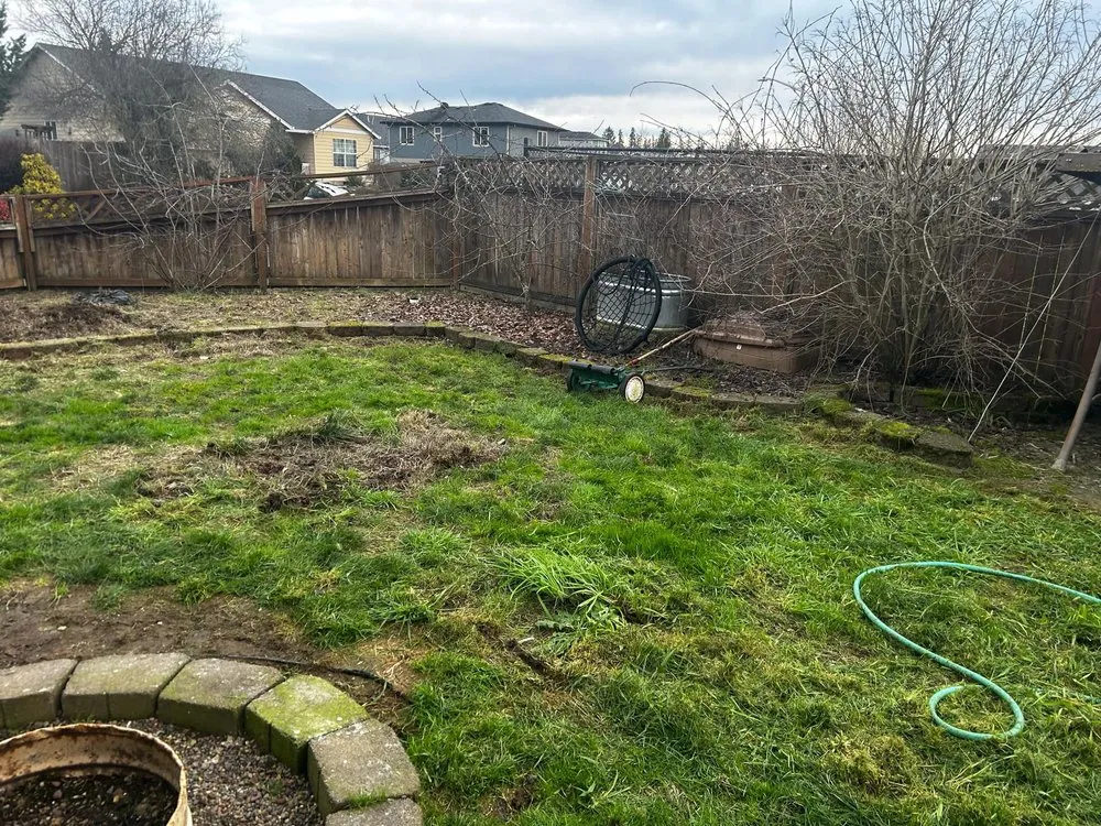 Reliable landscaping services in Monmouth, OR - Revive Declutter Transform