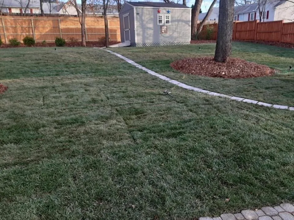 Local yard cleanup service for homes across Temple, GA - Revive Landscaping and Design